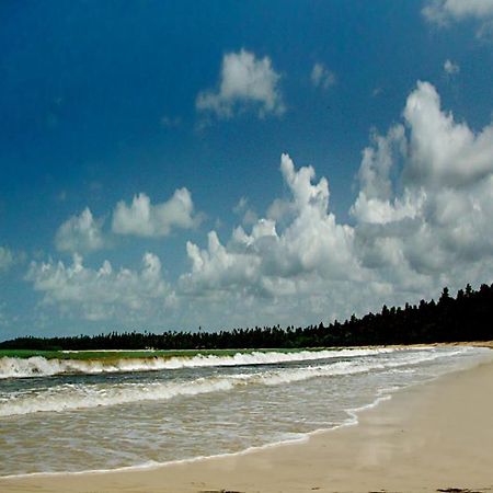 Alvorada No Morro Flat Terceira Praia Morro de São Paulo Eksteriør billede