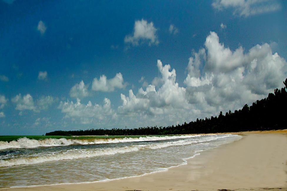 Alvorada No Morro Flat Terceira Praia Morro de São Paulo Eksteriør billede